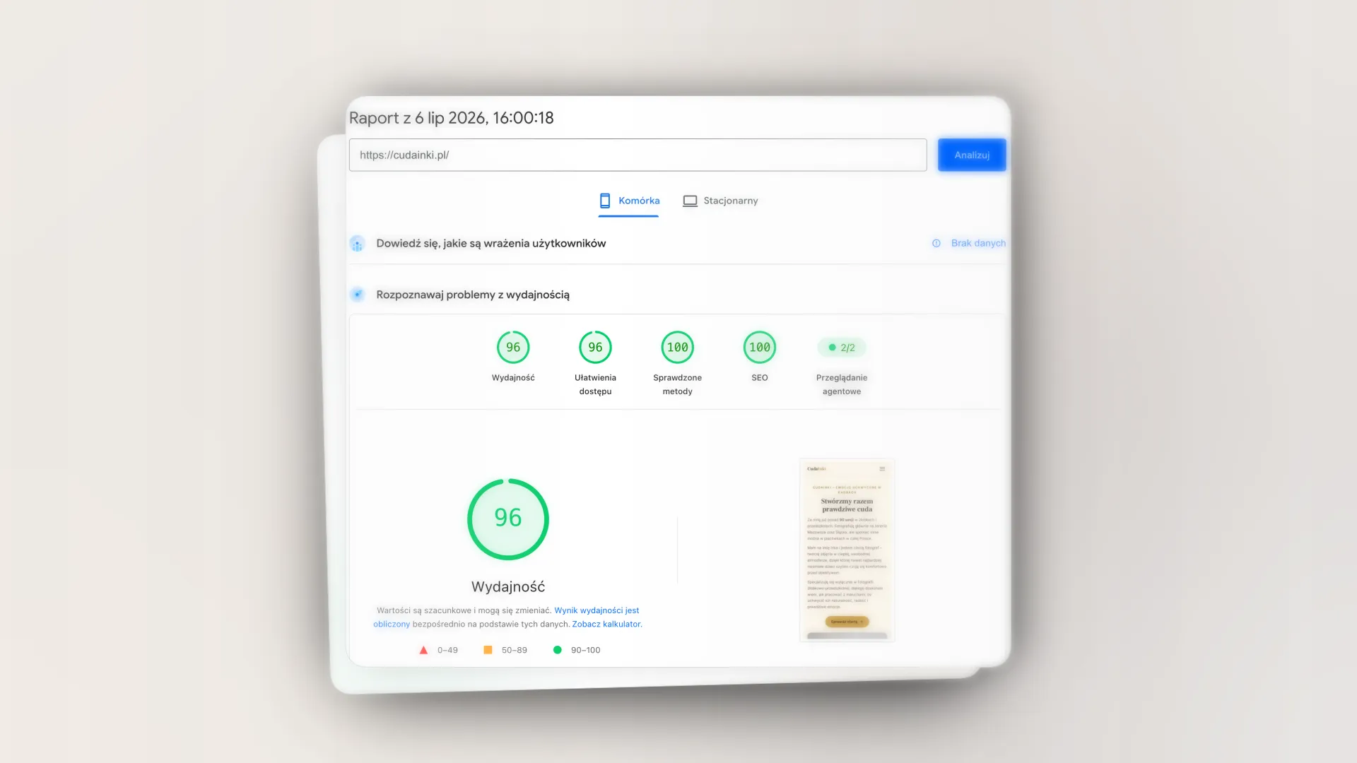 Wynik Google PageSpeed Insights dla cudainki.pl: 96/100